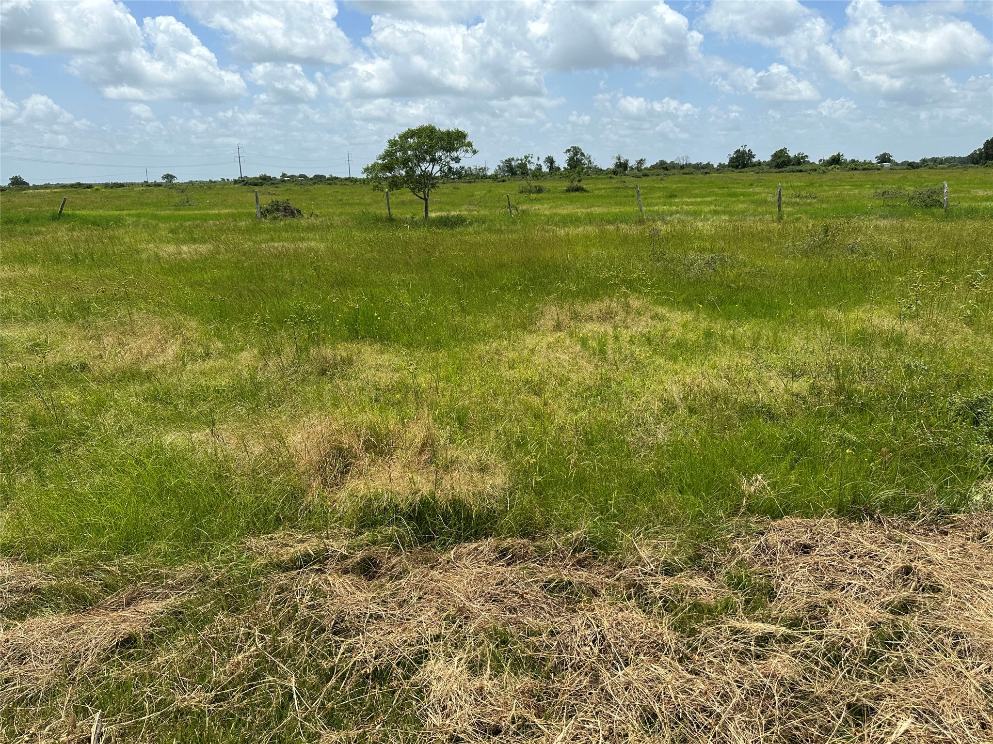 775 South FM 441 Road Louise, TX 77455 - Photo 7 of 14