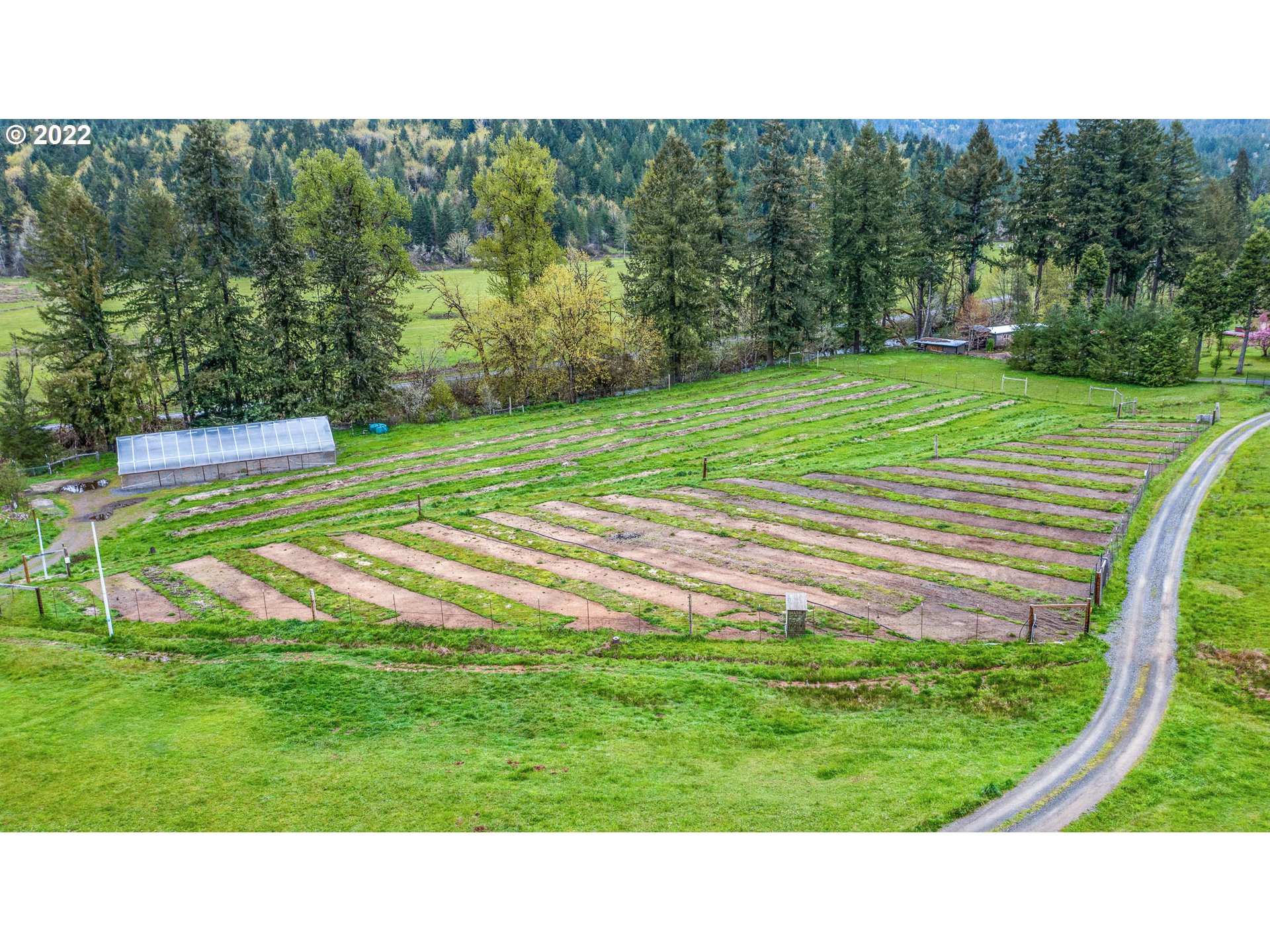 42466 Winberry Creek Road Fall Creek, OR 97438 - Photo 27 of 32 Gallery Image 27