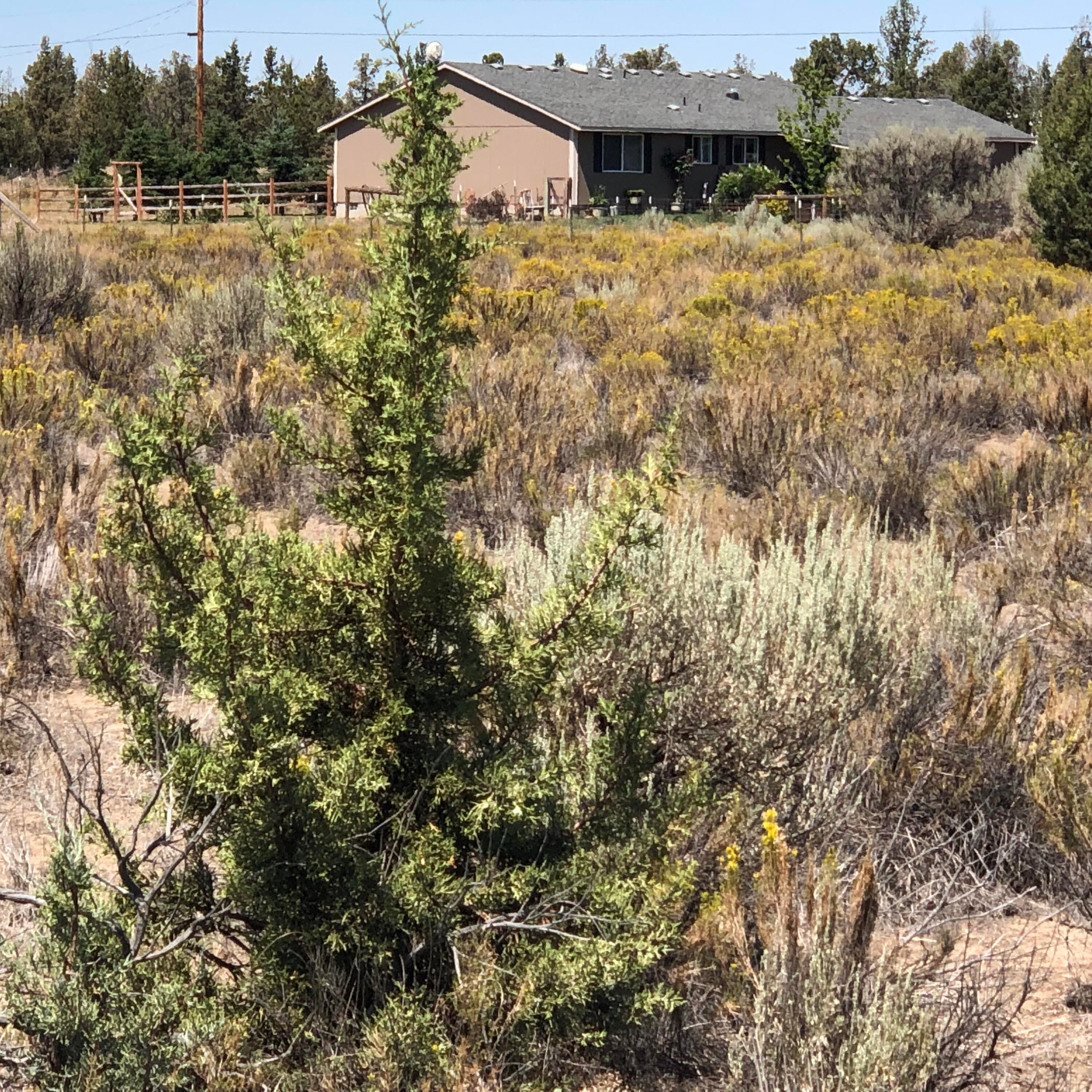 Tl4100 Southeast Custer Road Prineville, OR 97754 - Photo 10 of 16 IMG-3941