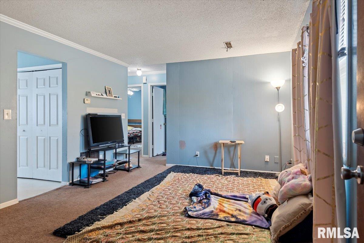 28 Circle Drive Chatham, IL 62629 - Photo 7 of 10