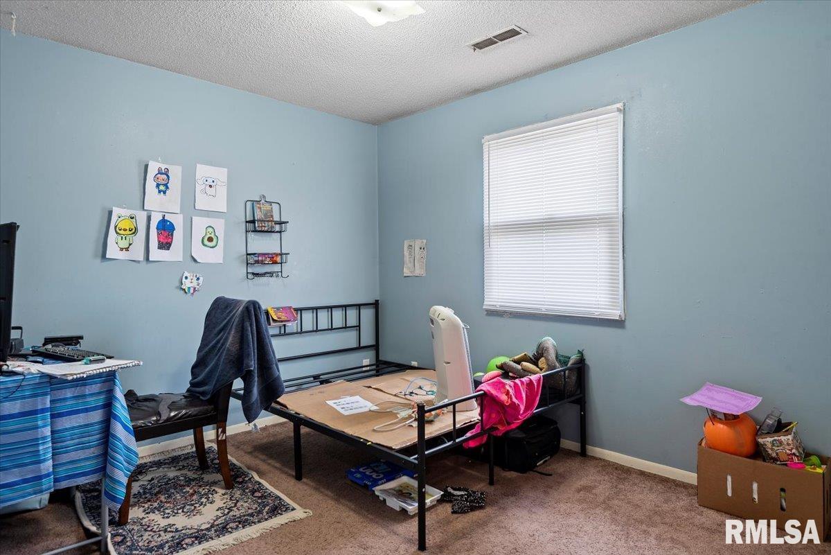 28 Circle Drive Chatham, IL 62629 - Photo 10 of 10