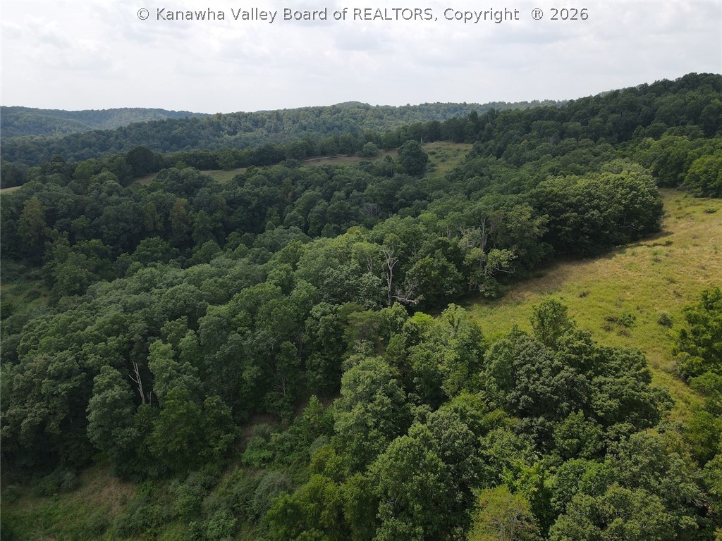 1162 Bear Run Reedy, WV 25270 - Photo 7 of 34 Gallery Image 7