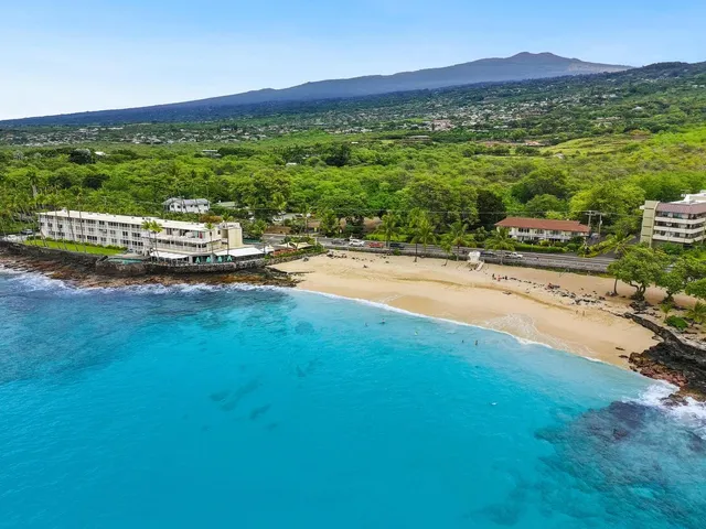 a view of a living room with a table and potted plants