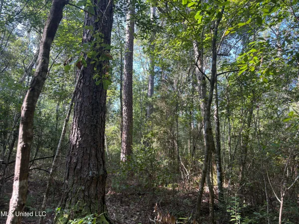 $315,000 | Washam Road, Lucedale, MS 39452