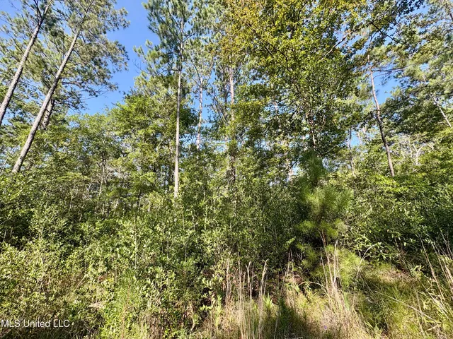 $315,000 | Washam Road, Lucedale, MS 39452