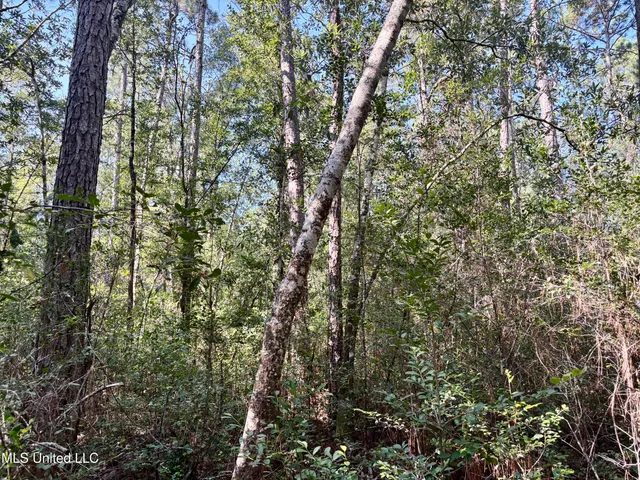 $315,000 | Washam Road, Lucedale, MS 39452