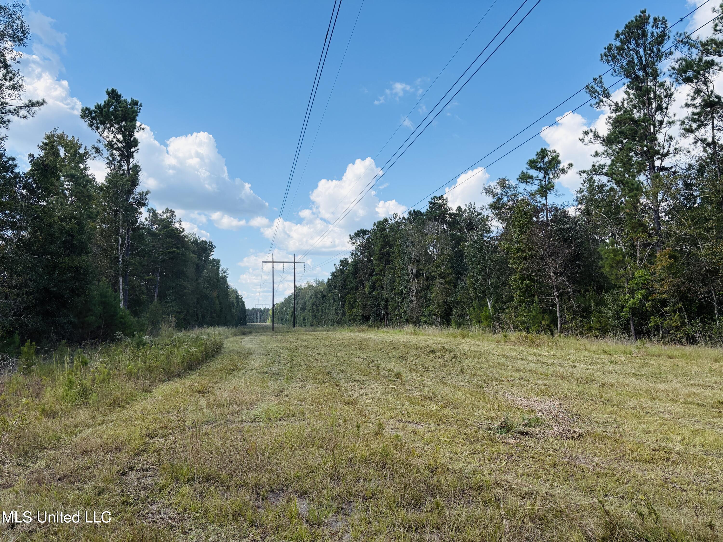 Washam Road Lucedale, MS 39452 - Photo 6 of 7 IMG_5227