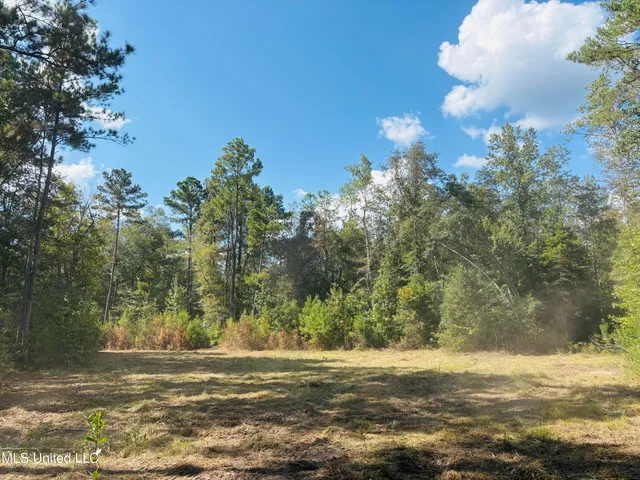 $315,000 | Washam Road, Lucedale, MS 39452