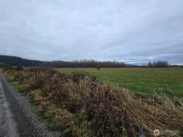 a view of a field with an ocean beach