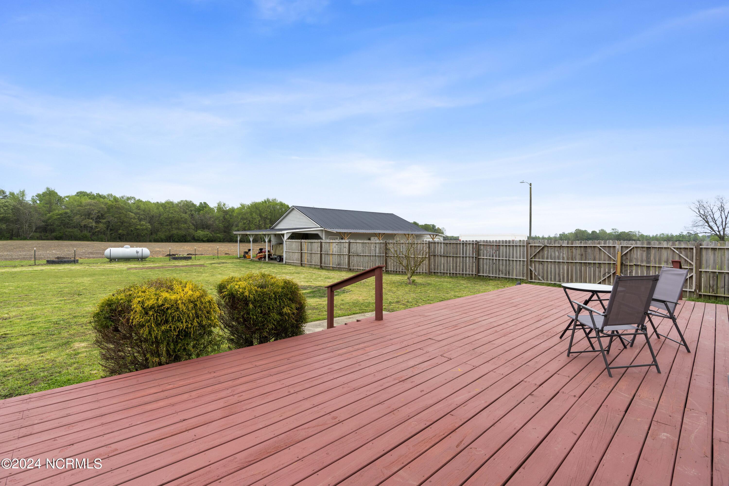 1507 Faro Road Stantonsburg, NC 27883 - Photo 34 of 42 Backyard