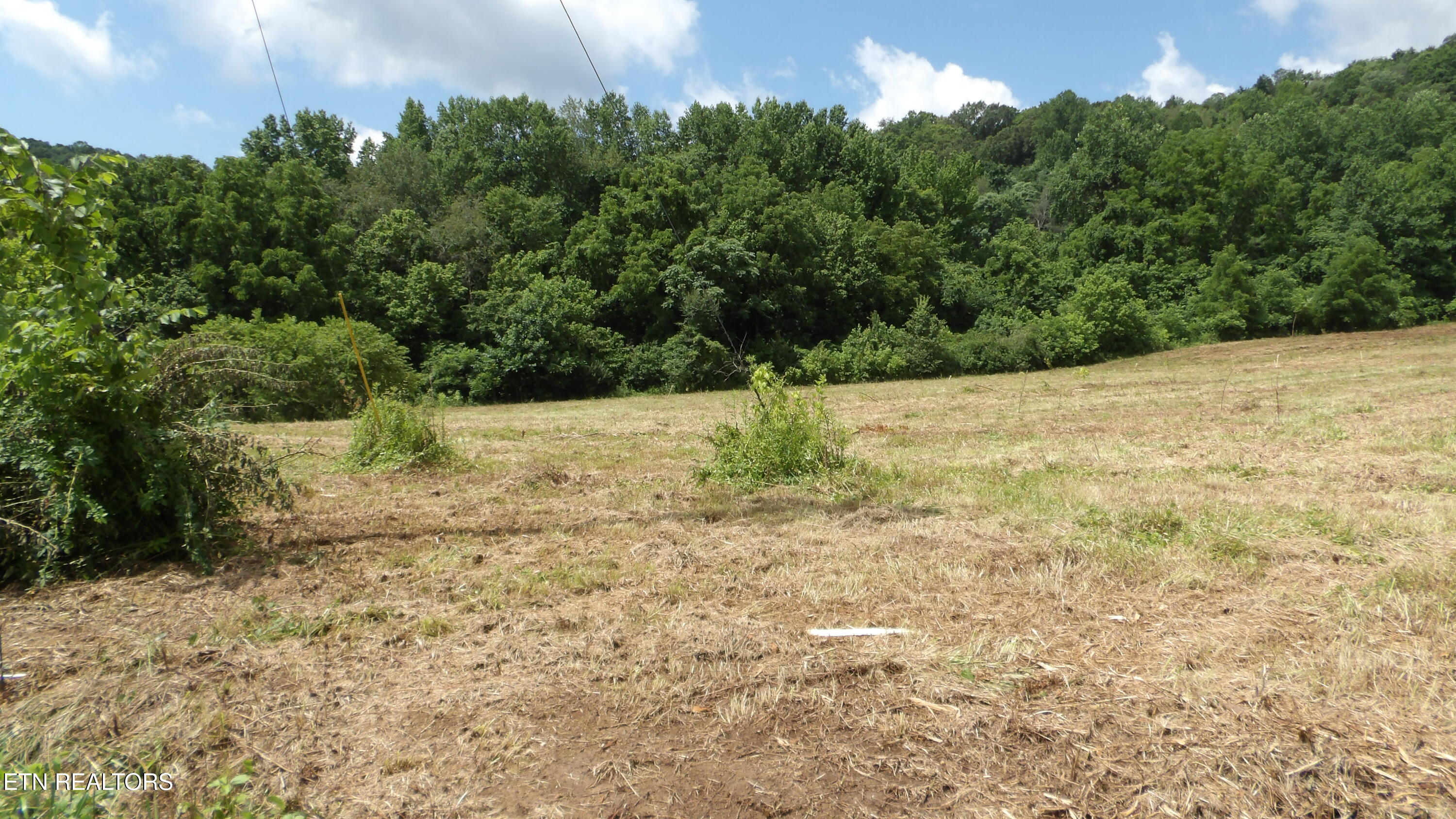 5.6-ac Lonnie Reecer Road Celina, TN 38551 - Photo 2 of 47 100_0033