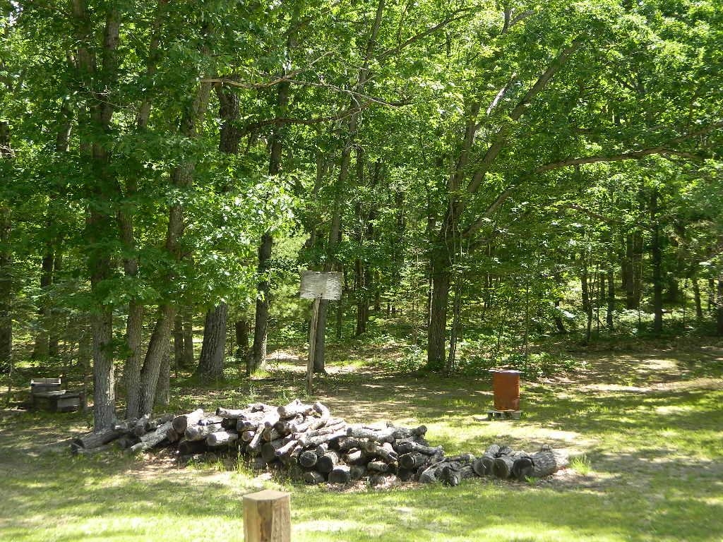 5651 East Haskell Lake Road Harrison, MI 48625 - Photo 3 of 43
