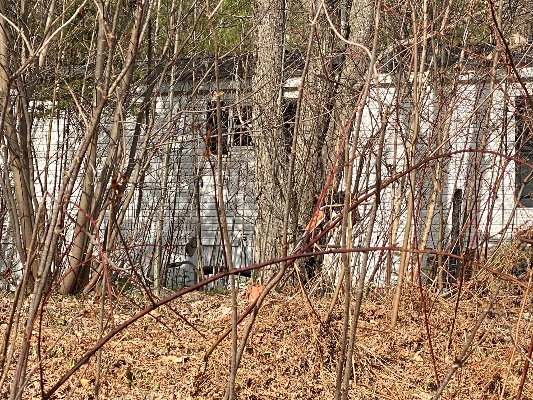 207 Fish Street Fryeburg, ME 04037 - Photo 1 of 2 IMG_1487