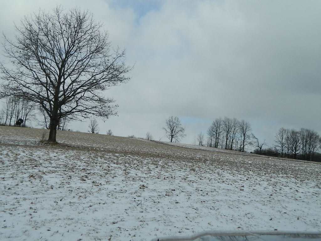 11650 West Remick Road Blanchard, MI 49310 - Photo 36 of 39 1839299-36.JPG