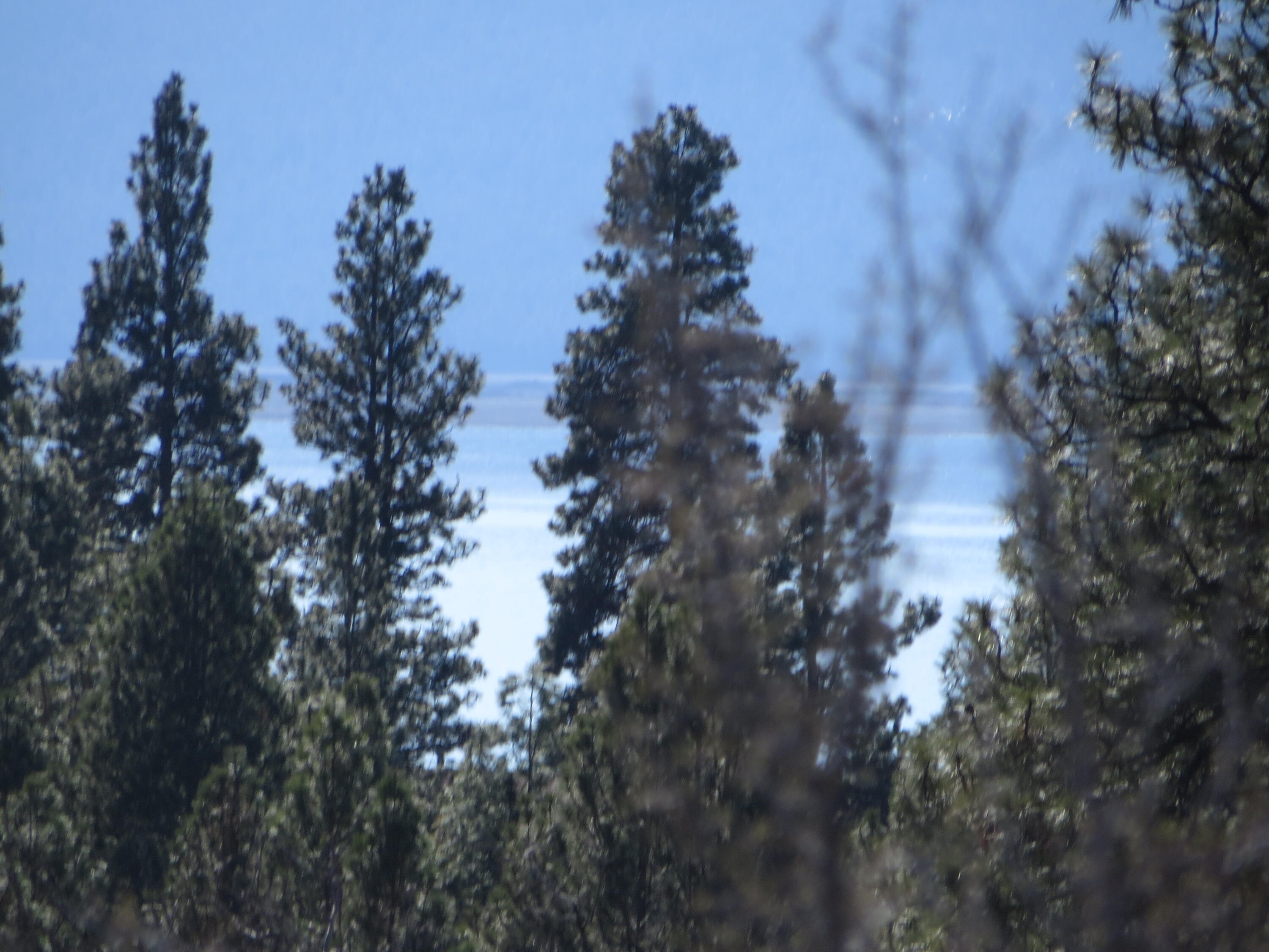 B7-l7 David Street, Unit 7 Chiloquin, OR 97624 - Photo 1 of 6 Agency Lake to the West