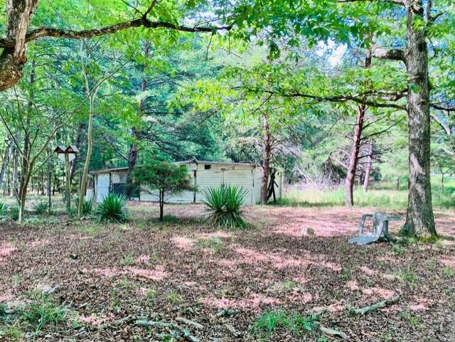 3599 Skipwith Road Boydton, VA 23917 - Photo 12 of 18 Gallery Image 12