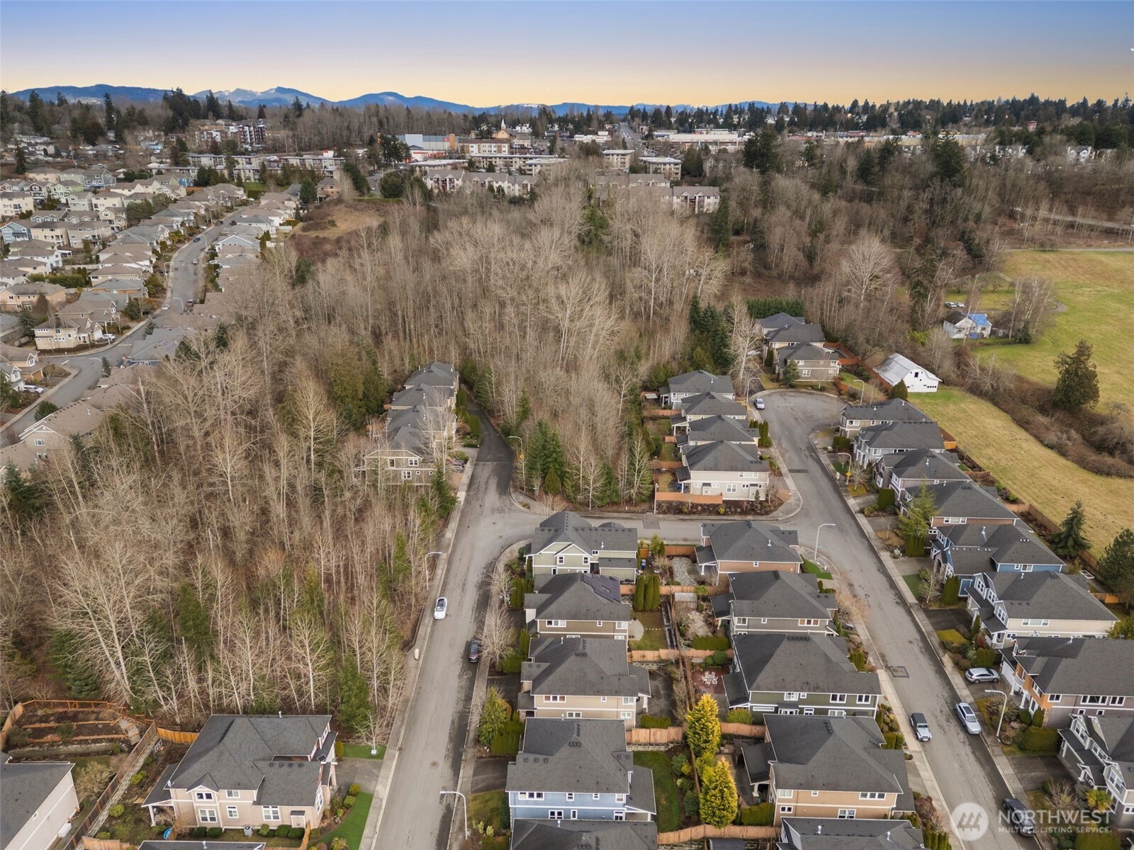 805 South 37th Place Renton, WA 98055 - Photo 29 of 32 Gallery Image 29