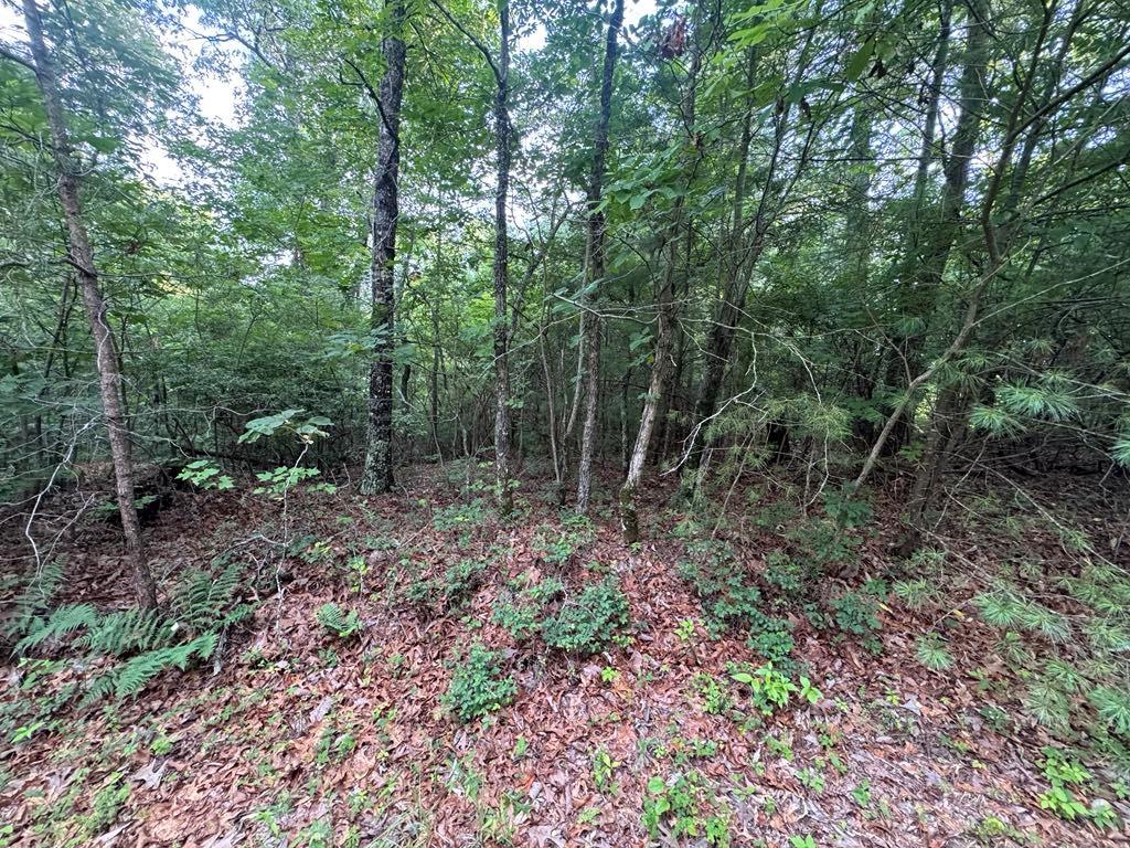 793 Woodbine Lane Ranger, GA 30734 - Photo 2 of 30