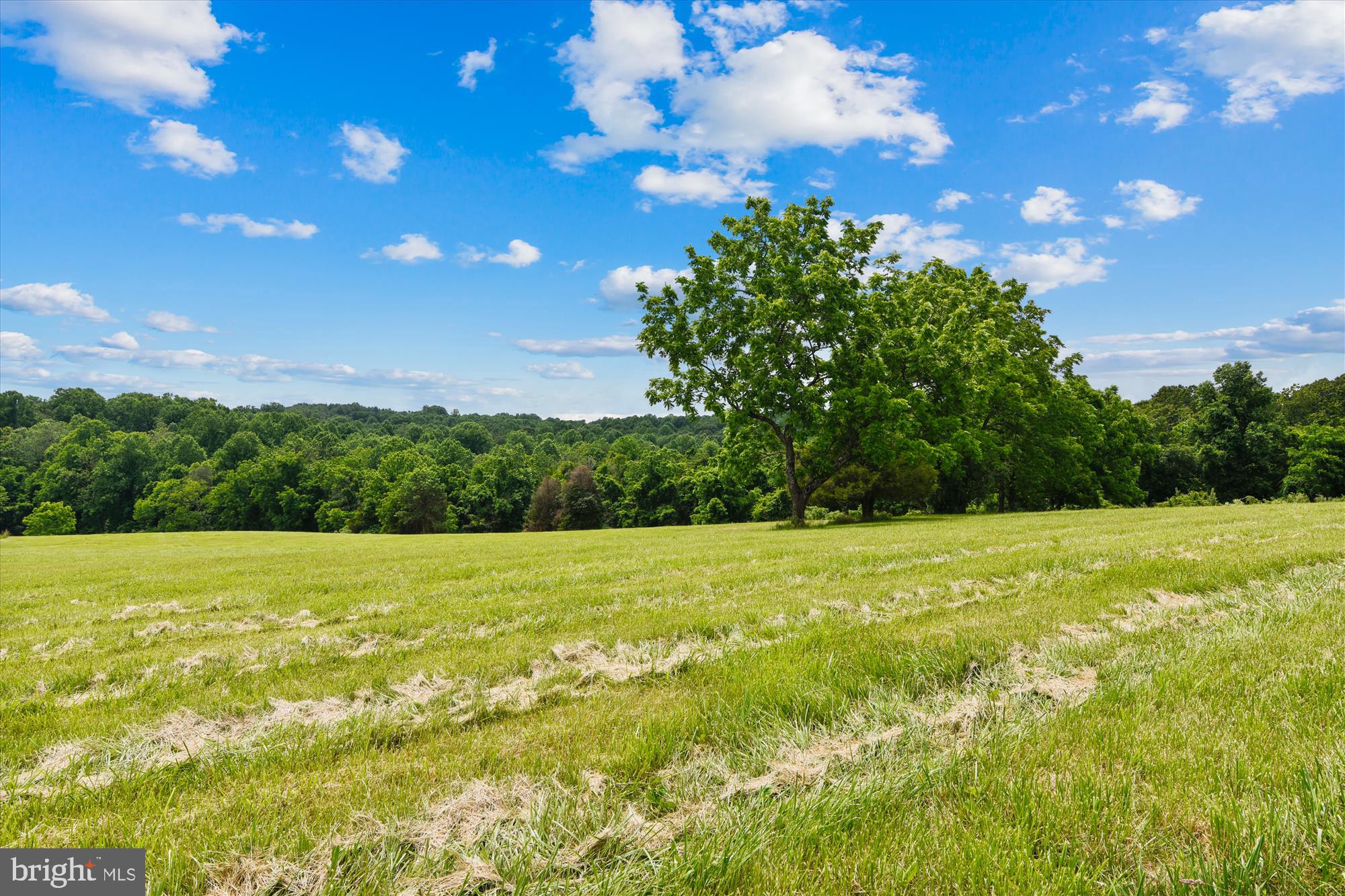 39237 Mt Gilead Road Leesburg, VA 20175 - Photo 49 of 66 Gallery Image 49