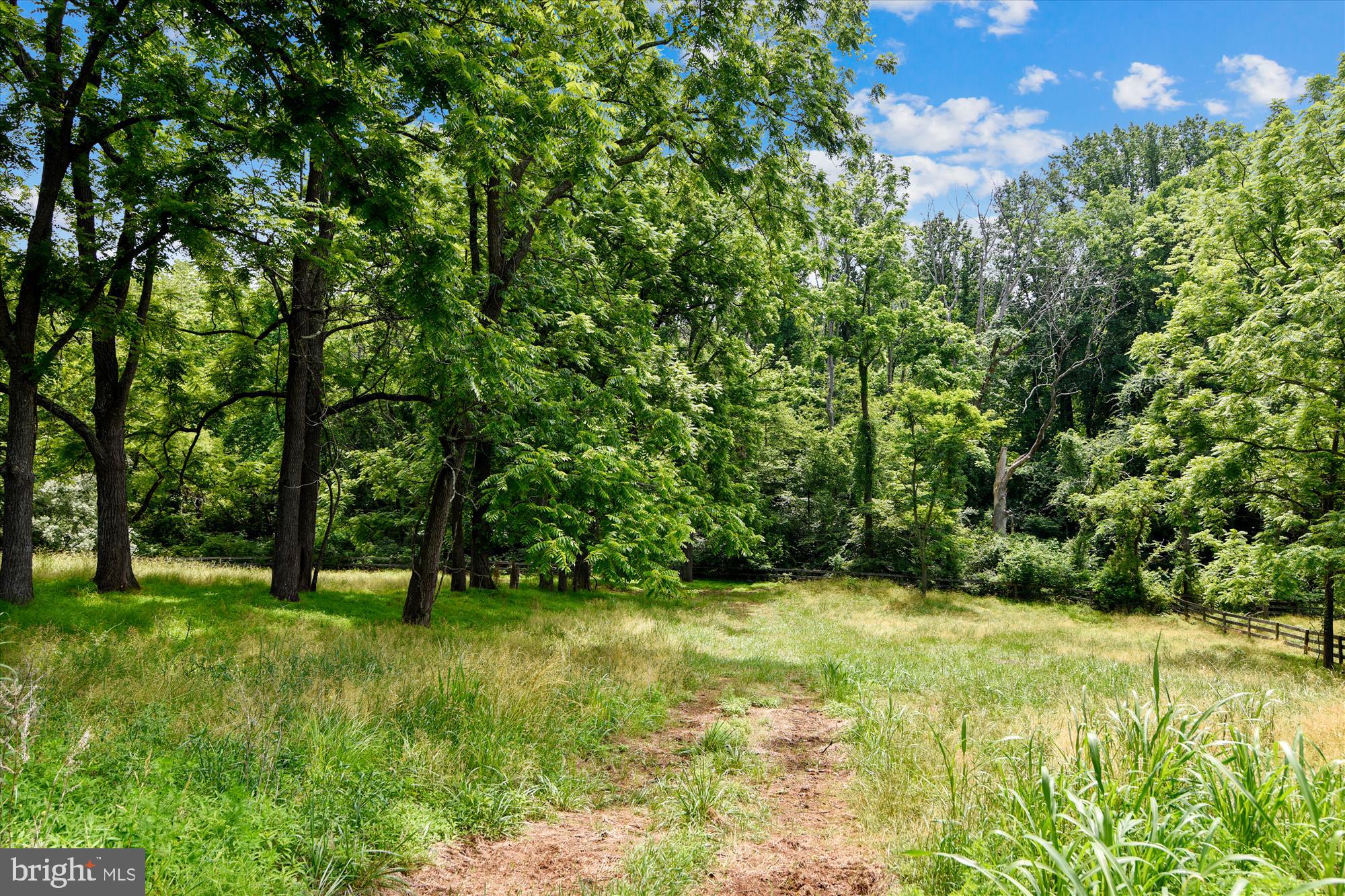 39237 Mt Gilead Road Leesburg, VA 20175 - Photo 53 of 66 Gallery Image 53