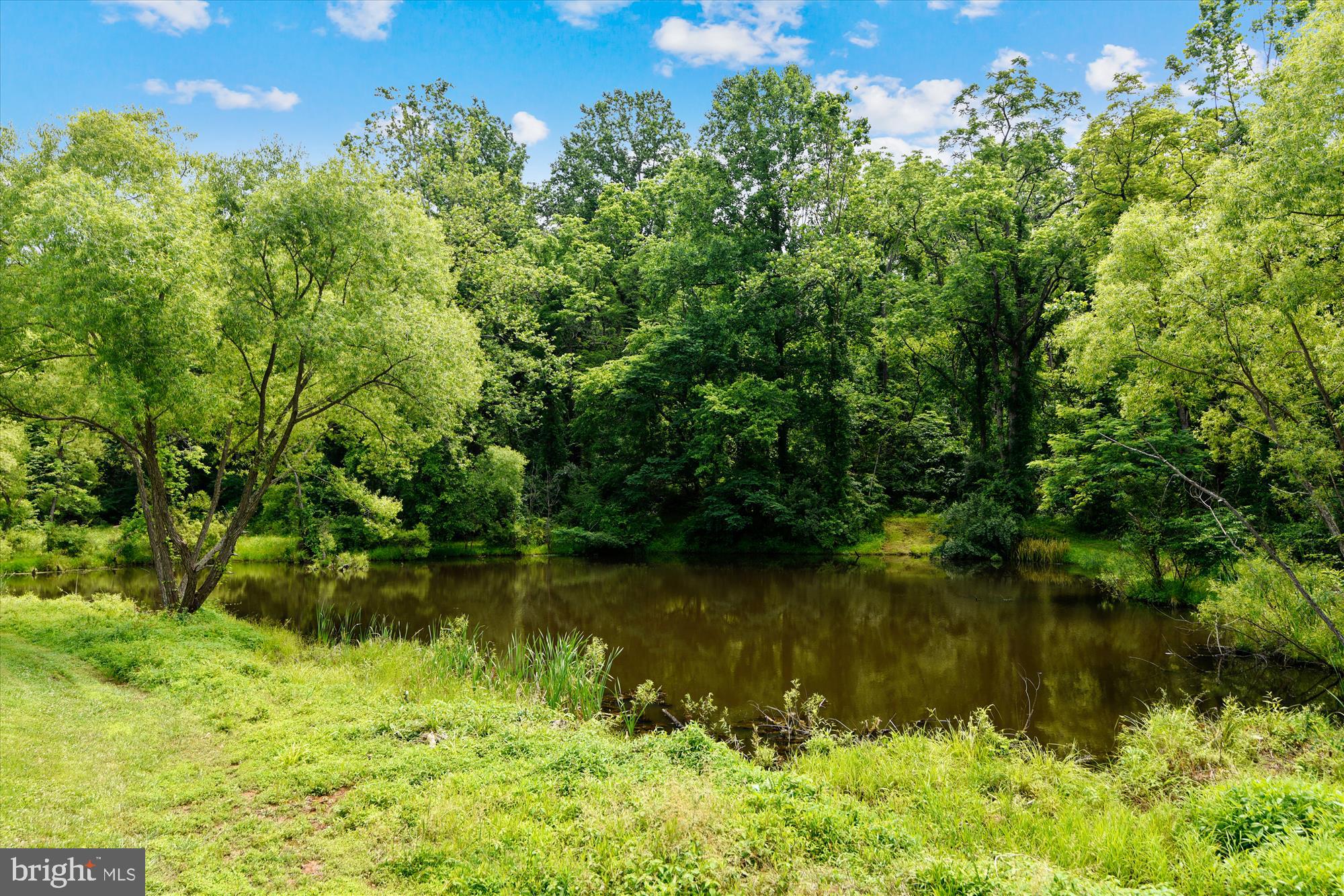 39237 Mt Gilead Road Leesburg, VA 20175 - Photo 55 of 66 Gallery Image 55