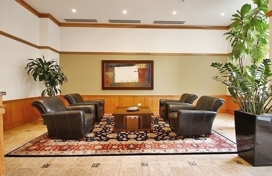 1640 Maple Avenue, Unit 1606 Evanston, IL 60201 - Photo 30 of 40 a living room with furniture and a potted plant