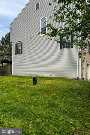 a view of a backyard with plants and large tree