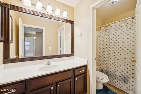 a bathroom with a sink a toilet a mirror and shower curtain