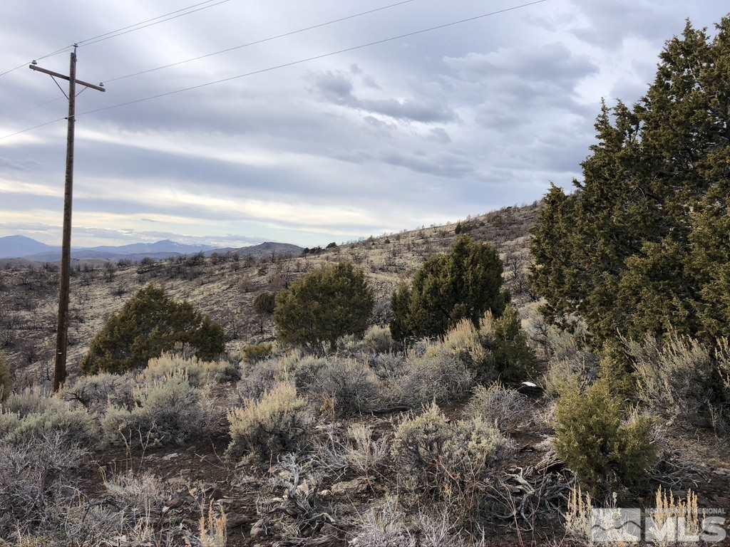 3100 Piute Creek Road Reno, NV 89510 - Photo 29 of 39 Photo 29