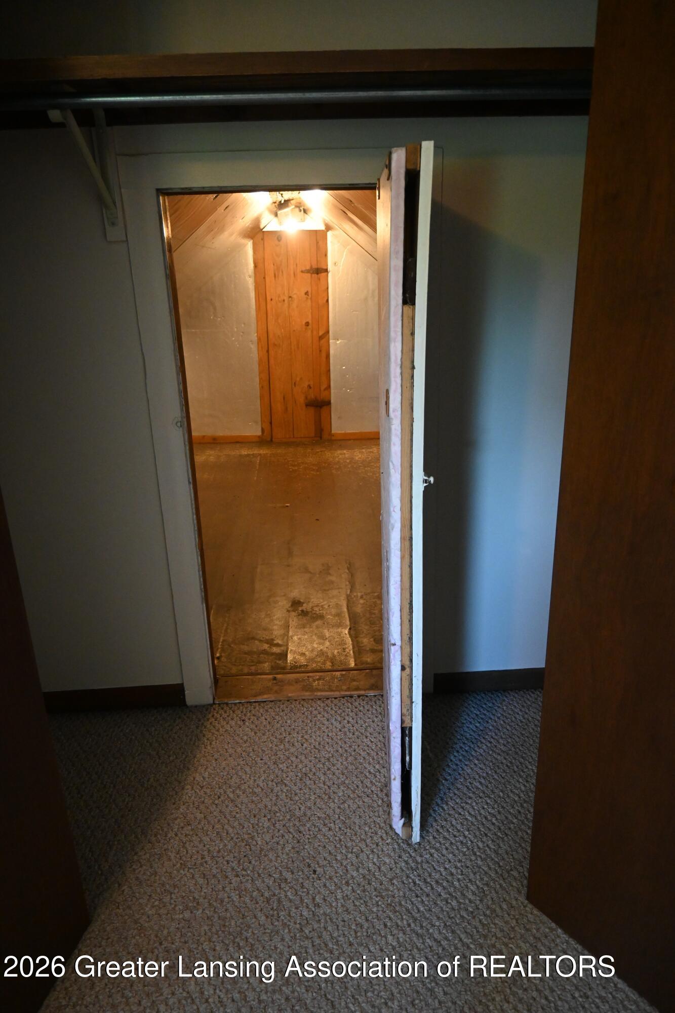 228 Union Street Grand Ledge, MI 48837 - Photo 25 of 35 IMG_0165