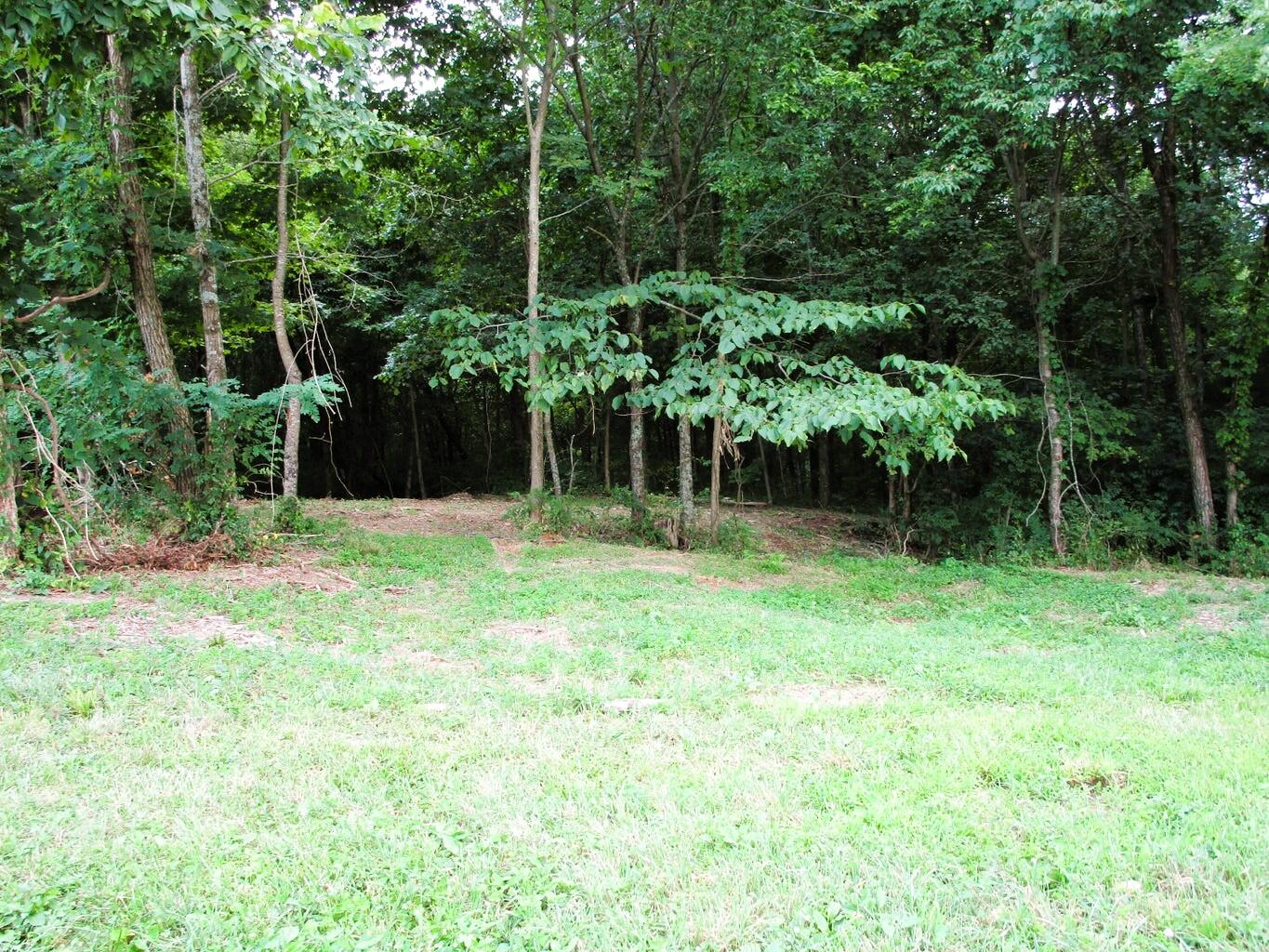 11.5-ac Osborne Road Dry Ridge, KY 41035 - Photo 12 of 38 Osborne 12