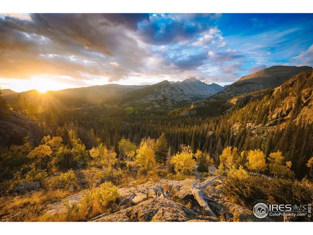 a view of a chairs and table in backyard