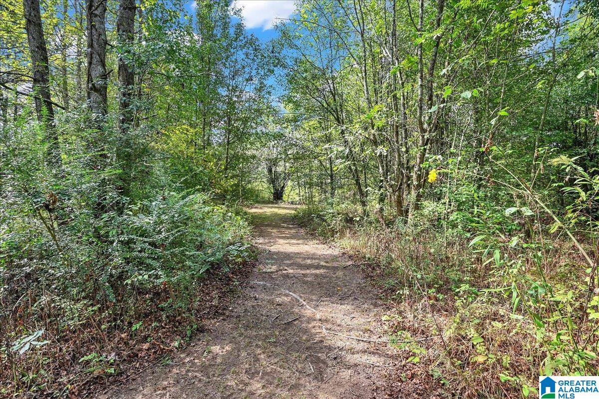 1672 Kirby Bridge Road Danville, AL 35619 - Photo 8 of 47