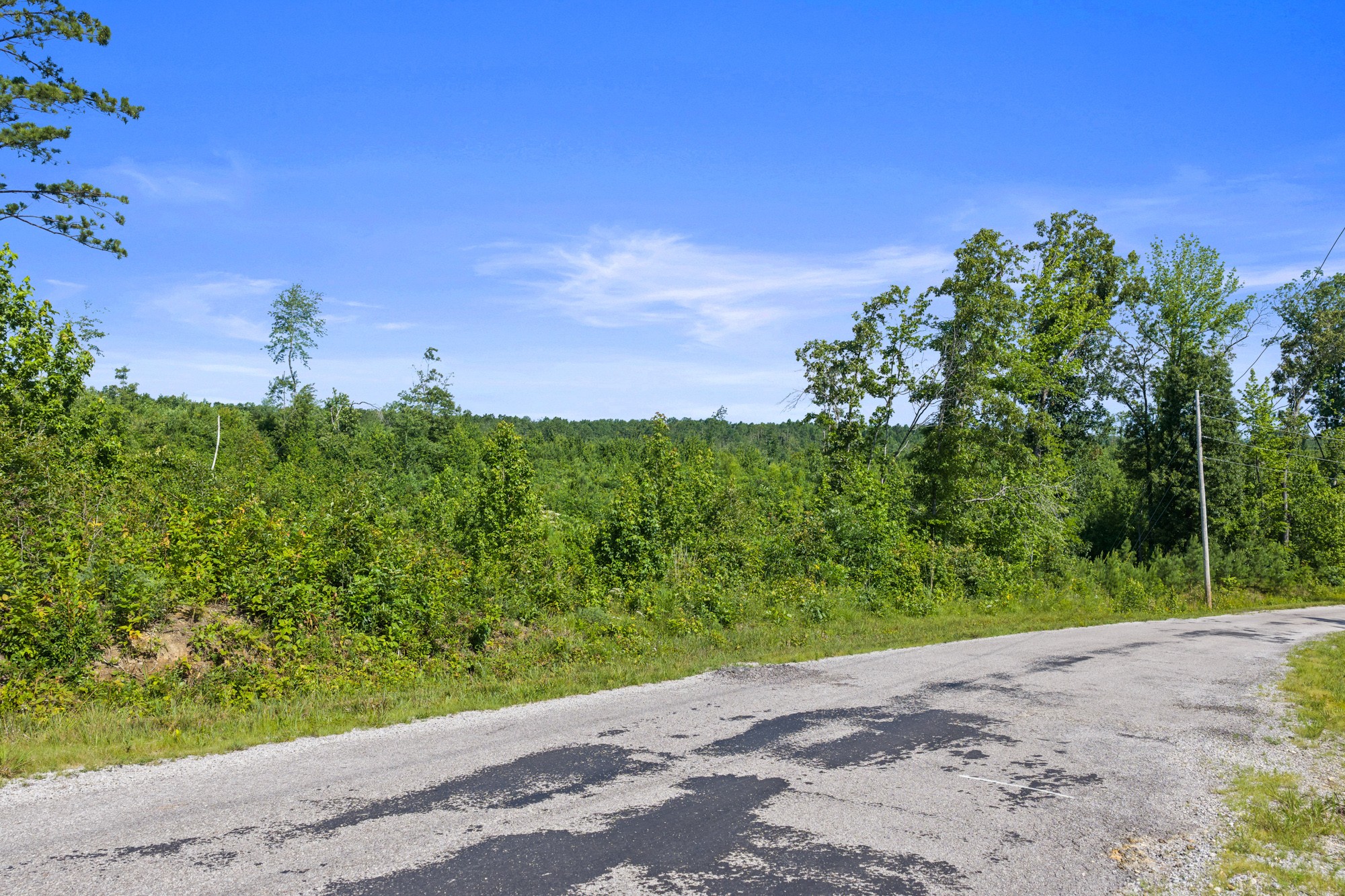 0 Coxburg Road North Holladay, TN 38341 - Photo 12 of 15