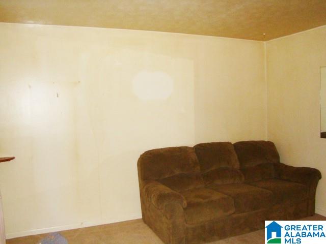 2149 Spring Road Ohatchee, AL 36271 - Photo 3 of 16