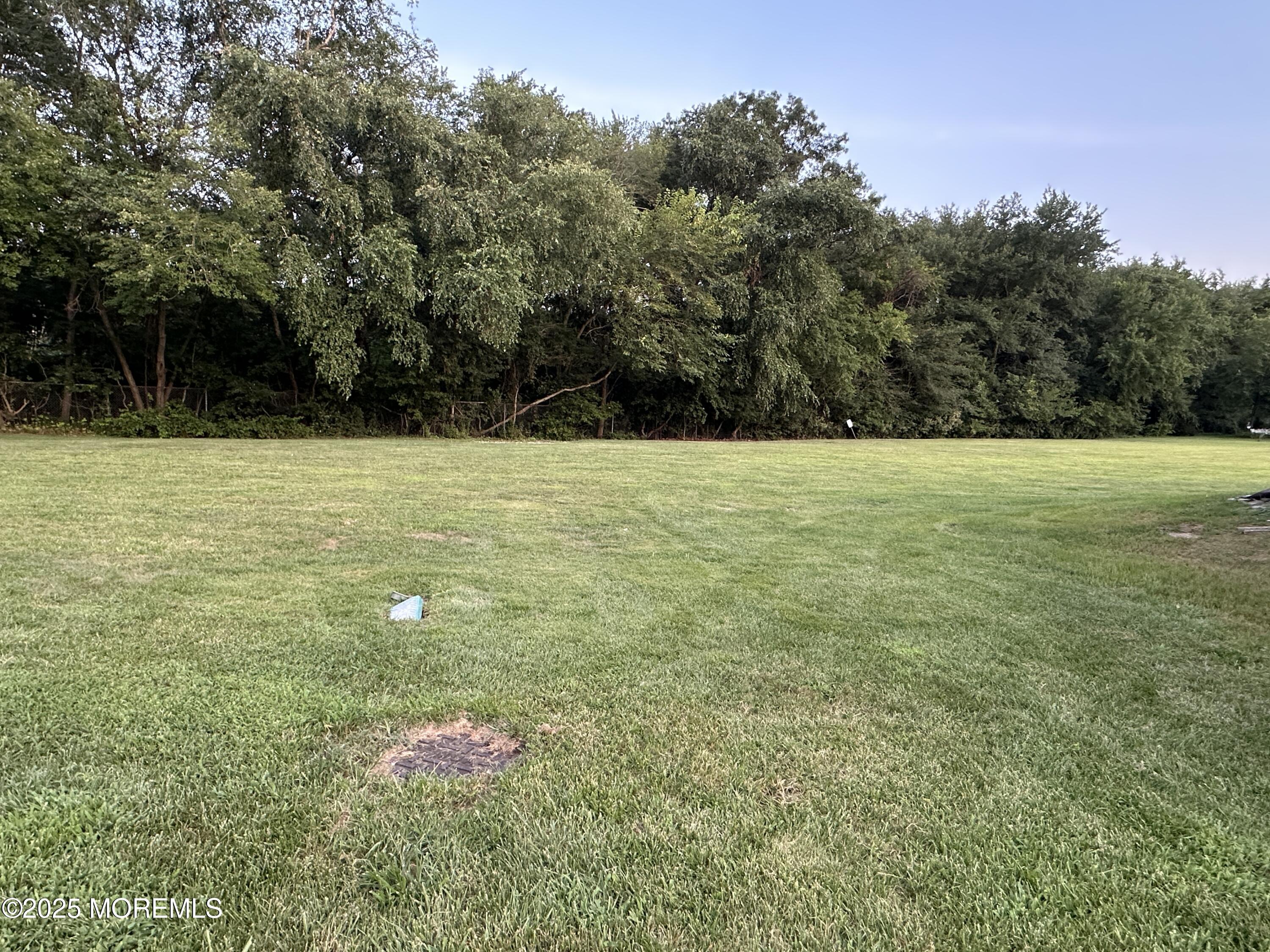 619 Sandra Place Brick, NJ 08724 - Photo 4 of 19 a view of outdoor space and yard