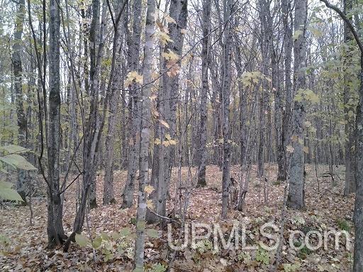 Tbd Whitefish Road Chatham, MI 49816 - Photo 20 of 30