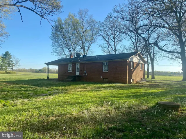 a view of a park with large trees