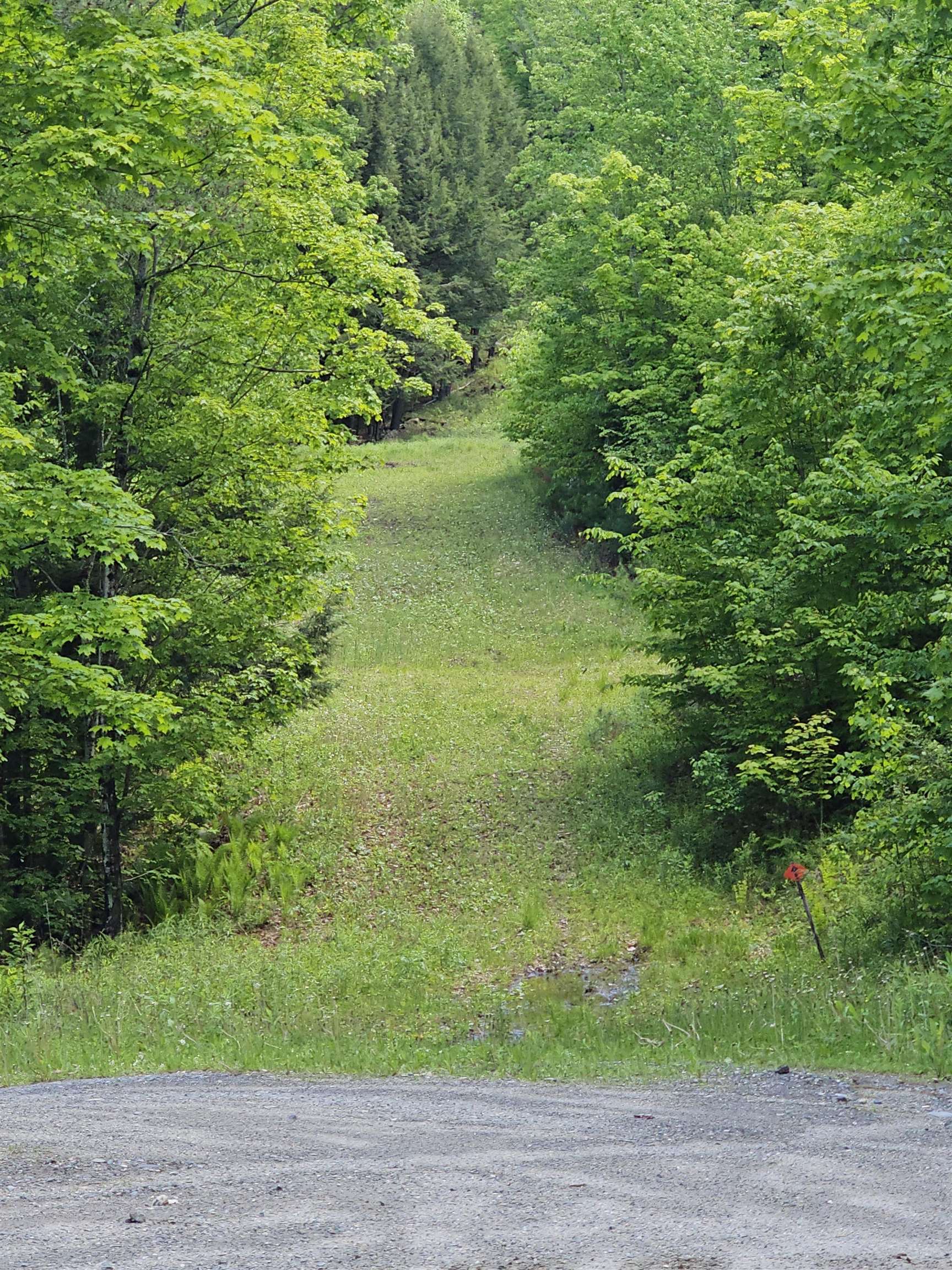 46 Pine Hill Road Monroe, NH 03771 - Photo 35 of 42