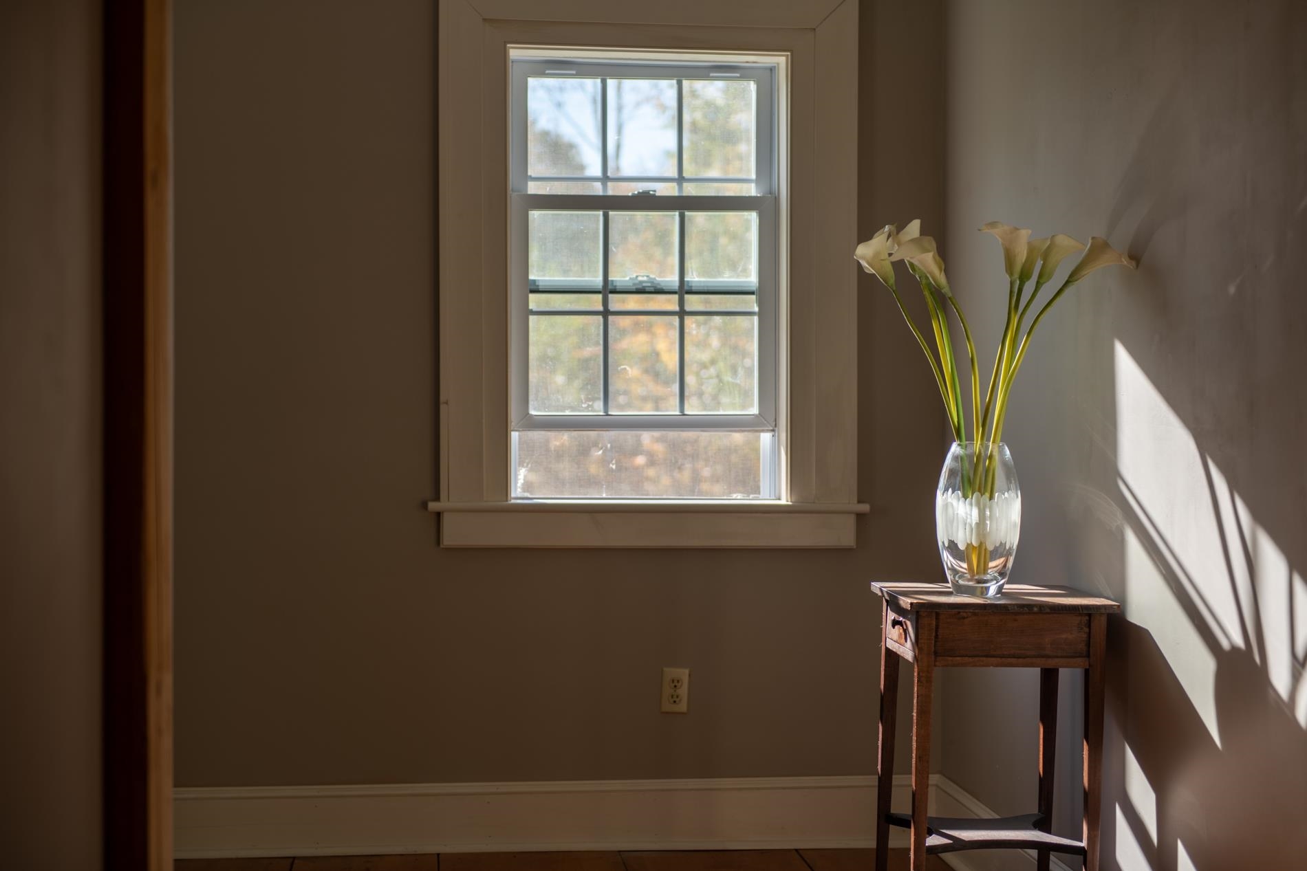 240 Robinson Road Greensboro, VT 05841 - Photo 20 of 40