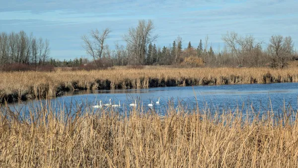 $279,900 | 610 Cleveland Avenue Southwest, McIntosh, MN 56556