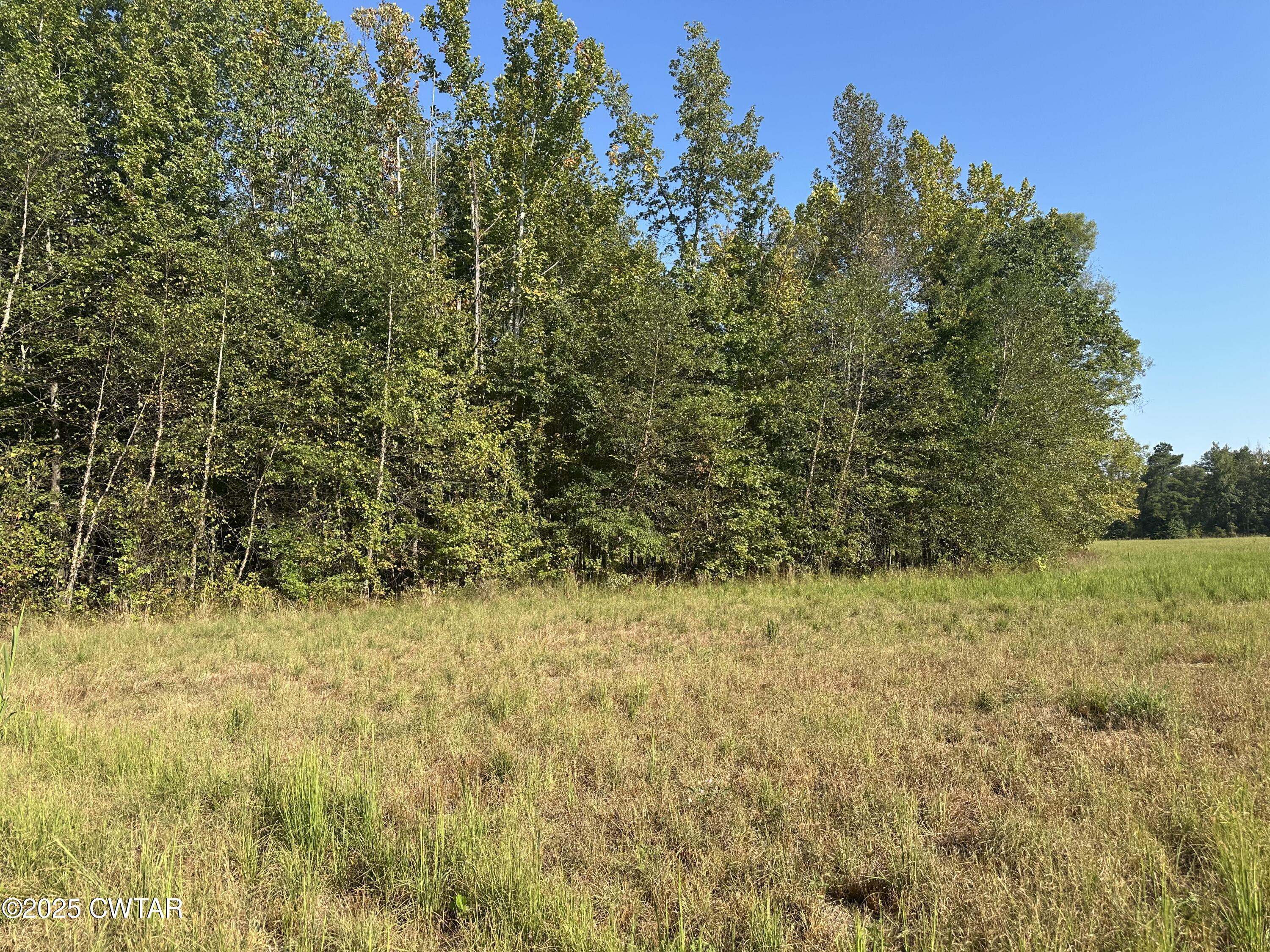 2800 Plainview Road Henderson, TN 38340 - Photo 3 of 7 a view of a yard