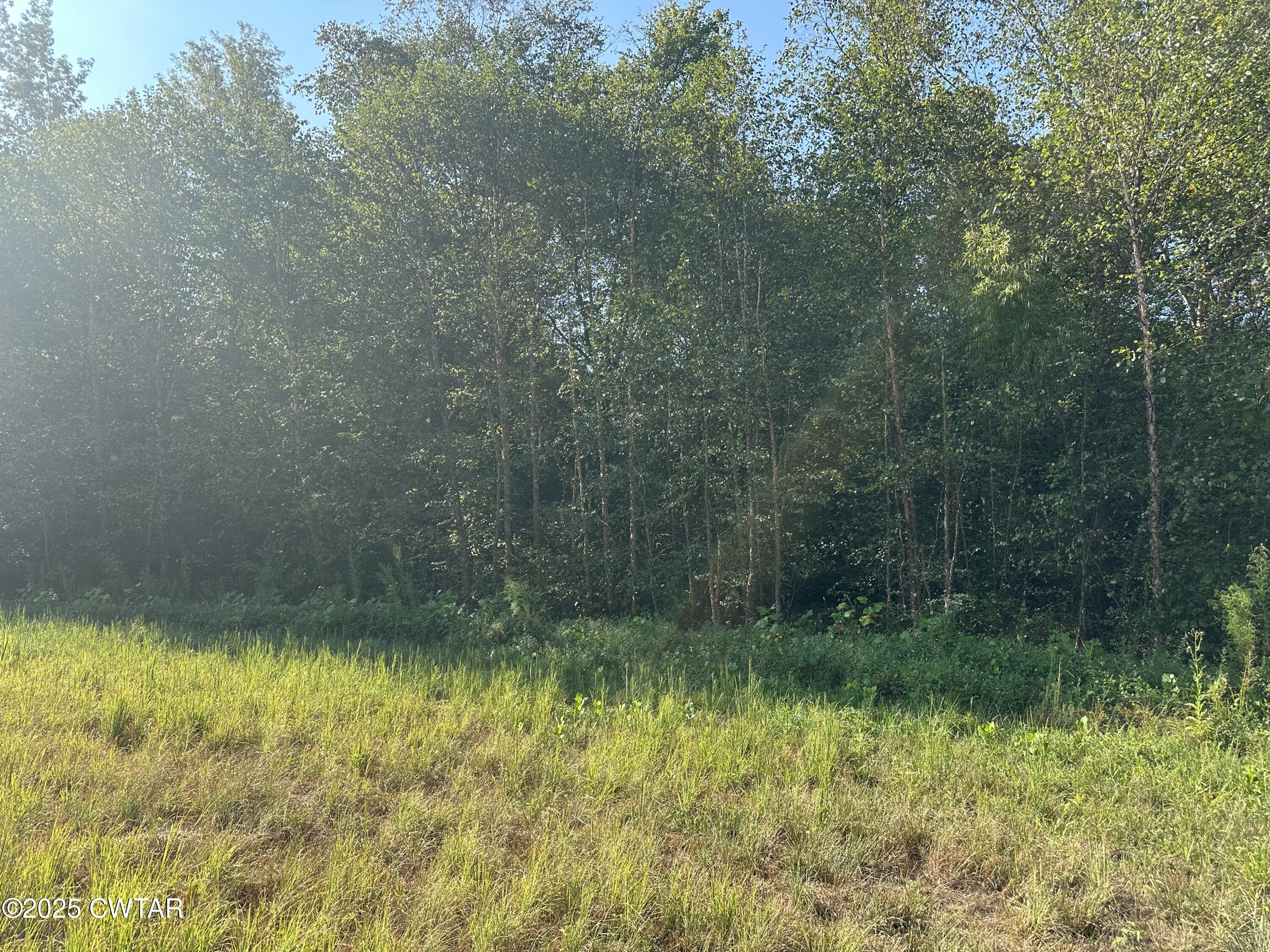 2800 Plainview Road Henderson, TN 38340 - Photo 4 of 7 a view of a yard