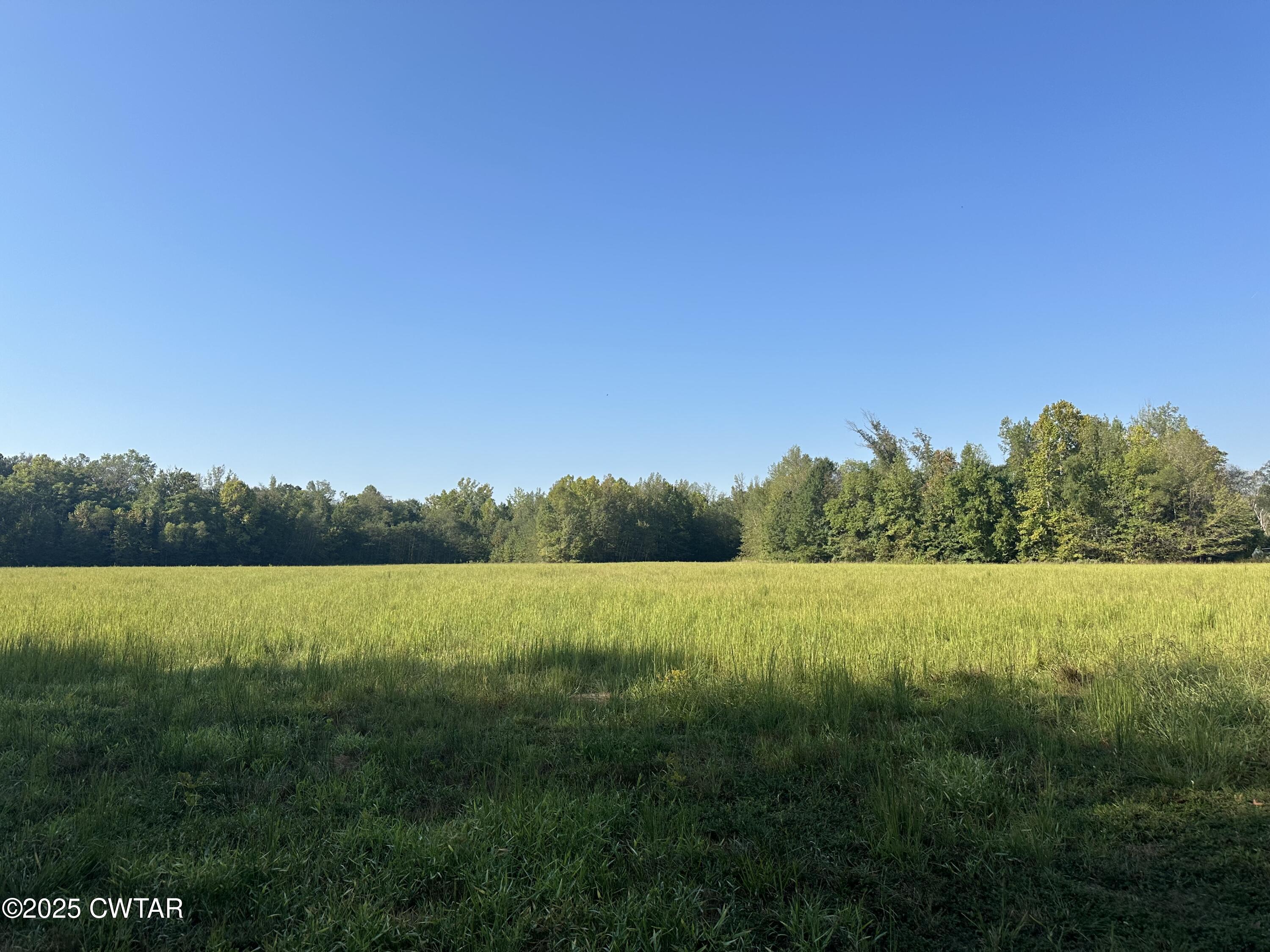 2800 Plainview Road Henderson, TN 38340 - Photo 5 of 7 a view of an ocean and yard