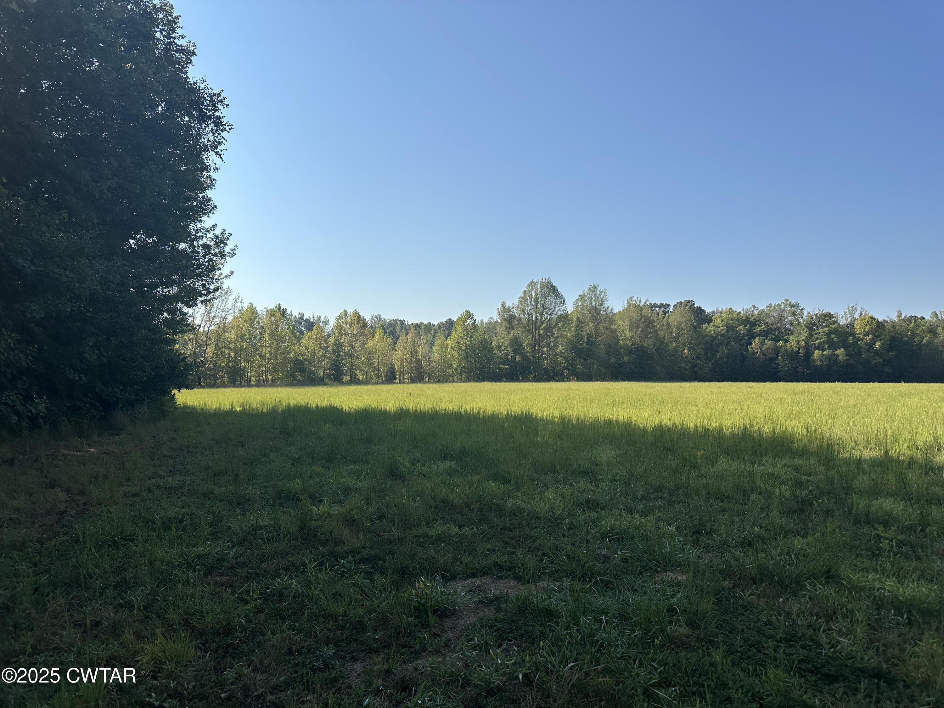 2800 Plainview Road Henderson, TN 38340 - Photo 6 of 7 a view of a green field