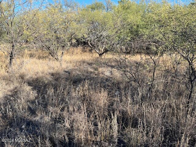 3150 West Rice Road Benson, AZ 85602 - Photo 1 of 7
