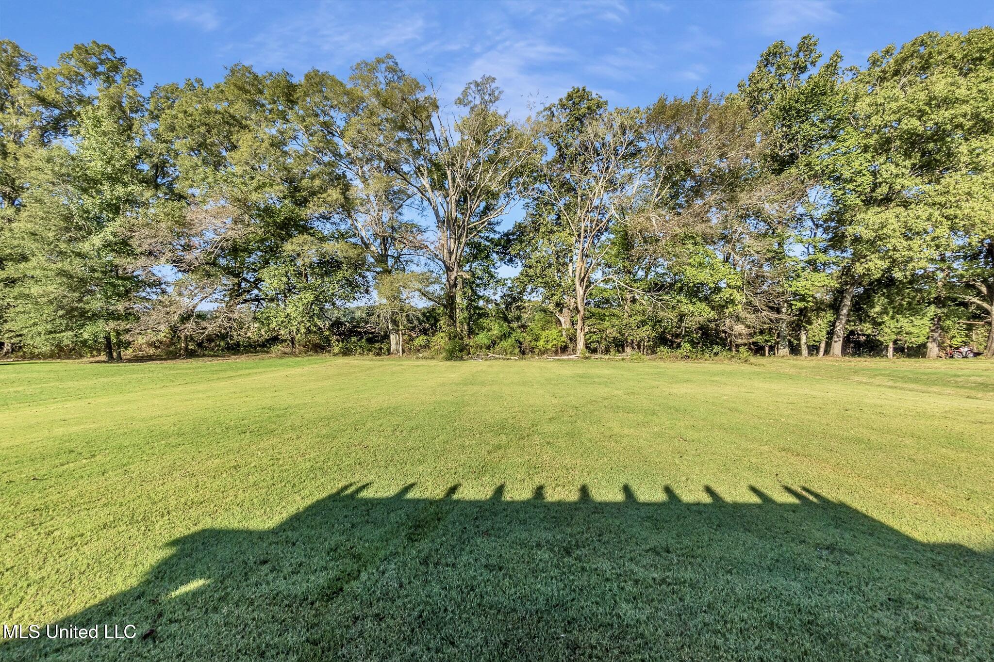 4643 Heritage Drive Olive Branch, MS 38654 - Photo 42 of 42 IMG_3492