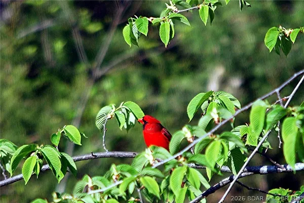 $735,000 | 602 Waterford Circle, Eldon, MO 65026