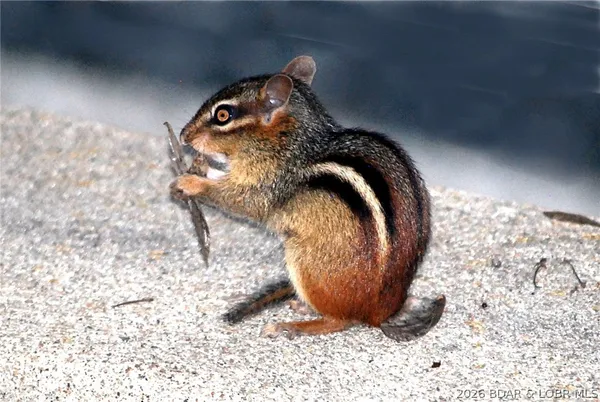 $735,000 | 602 Waterford Circle, Eldon, MO 65026