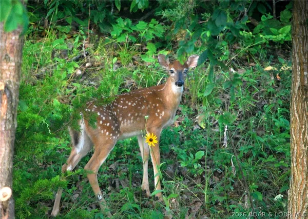 $735,000 | 602 Waterford Circle, Eldon, MO 65026